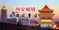 骚秘书20P中国陕西-西安城墙旅游风景区
